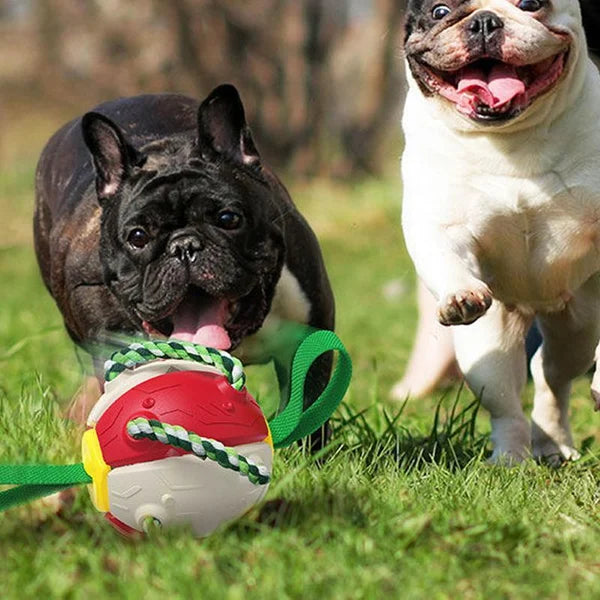 Bite resistant dog toy frisbee soccer