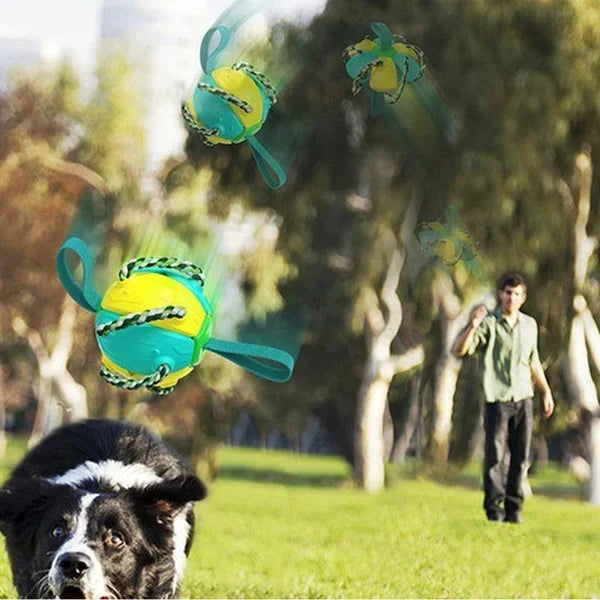 Bite resistant dog toy frisbee soccer