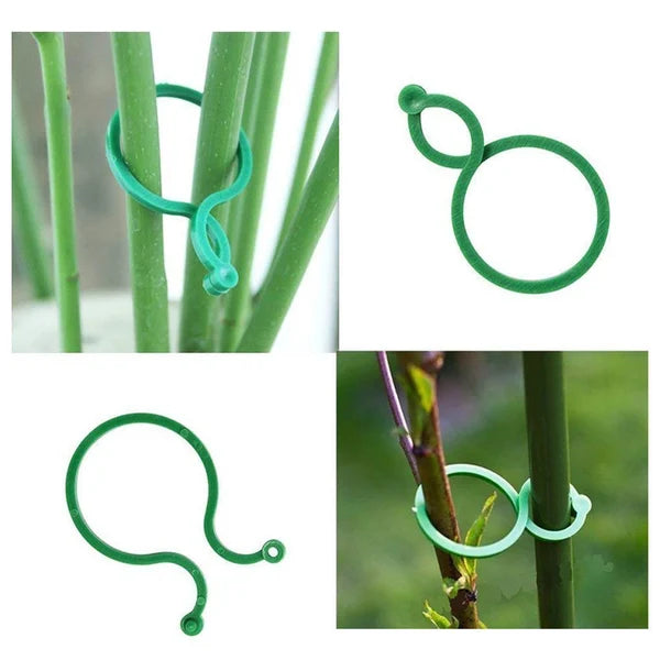 Garden Plant Holder