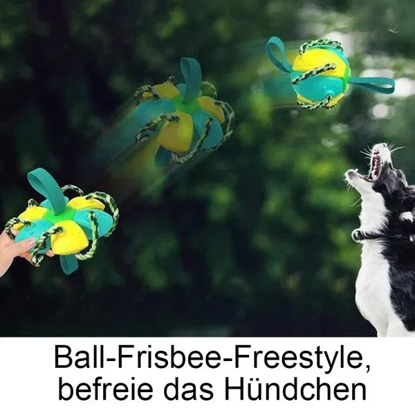 Bite resistant dog toy frisbee soccer