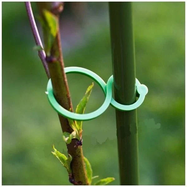 Garden Plant Holder