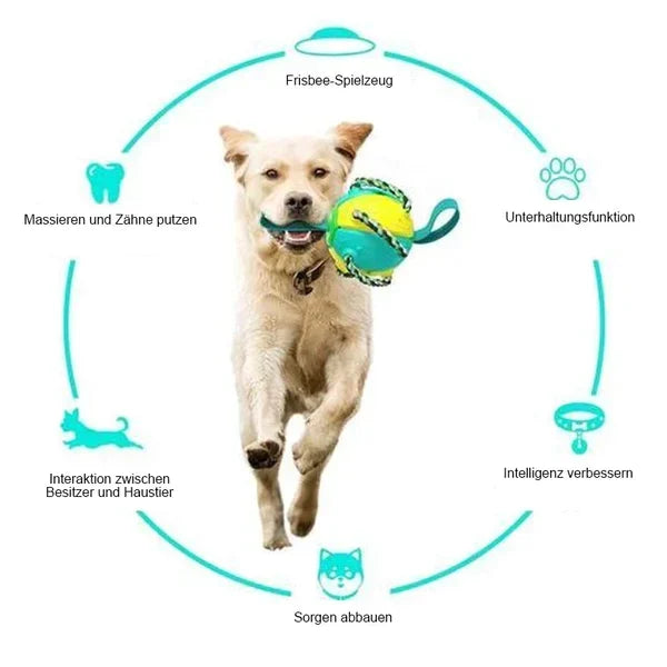 Bite resistant dog toy frisbee soccer