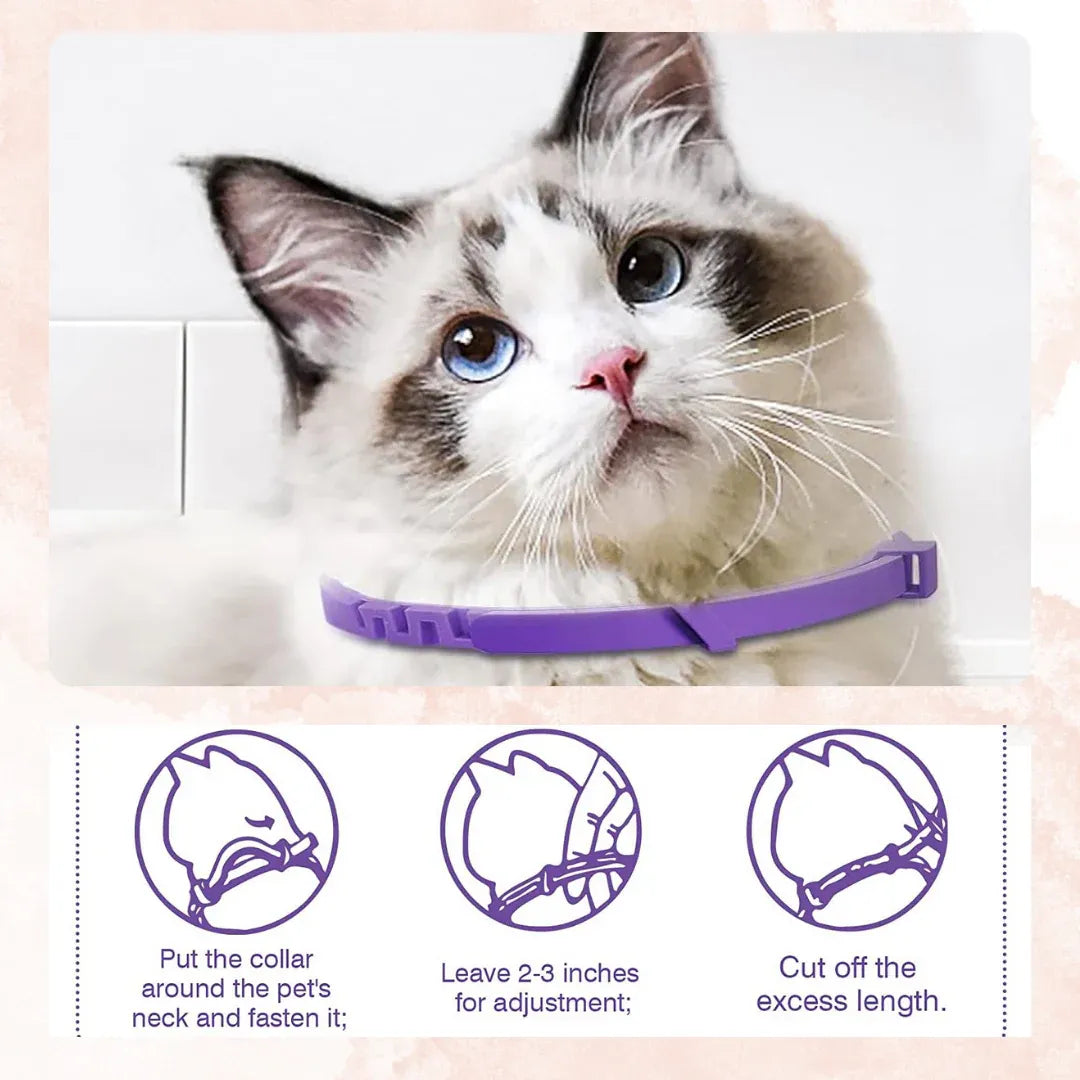 Pets Calming Collar