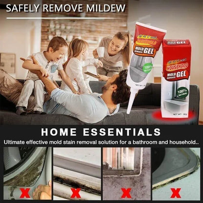 Household Mold Remover Gel